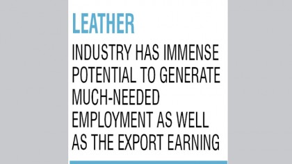 Two new leather complexes