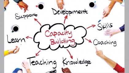 Capacity building of local professionals  