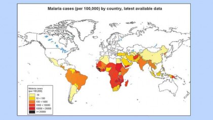WHO on Malaria