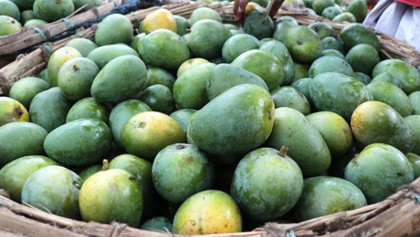 PM launches special mango train on Chapainawabganj-Dhaka route
