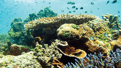 Govt plans to tap marine resources with China help