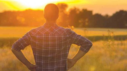 Ecology and mental health in our cities