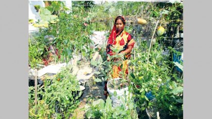 Benefits of micro-saving must not be ignored 