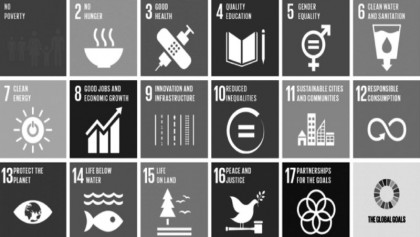 Survival of NGOs in context of middle income country 
