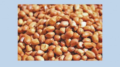 Growers happy with peanut price