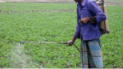 Pesticide use goes down, but hazard remains 