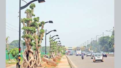 Govt suspends planting of 
bonsai along Airport Road