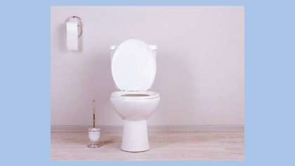 What do the different poop colors and shapes mean?