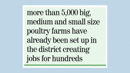 Poultry farms boost rural economy