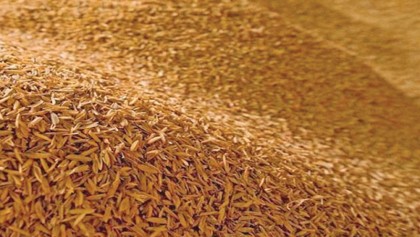 Upholding rice husks potential for 
environmental security