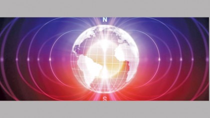 Organisms might be quantum machines