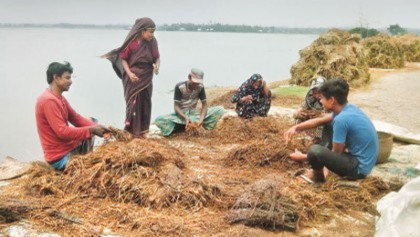 Country to speed up rice imports