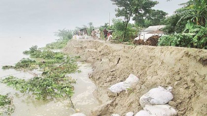Erosion threatens Dharla River protection dam