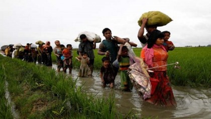 EU reiterates continuous support to Bangladesh over Rohingya crisis