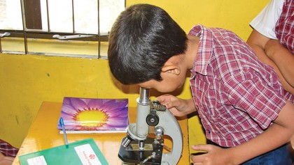 The declining trend of science education