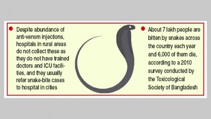 Shortage of ‘trained doctors’ 
blamed for snake-bite deaths

