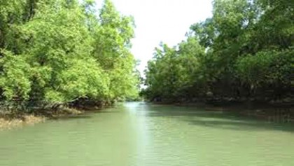 ‘Gear up activities of JWG on conservation of Sundarbans’