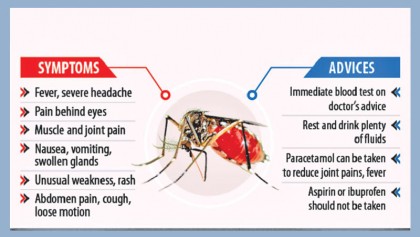 Tech support to tackle dengue 