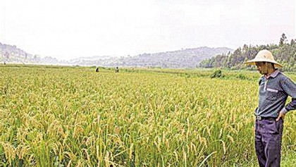 New technology to  
increase crop yield  
