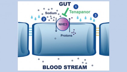 FDA approves Ibsrela (tenapanor) for the treatment of IBS with constipation