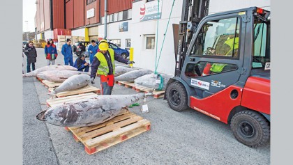 In Greenland, hopes for climate change to boost economy