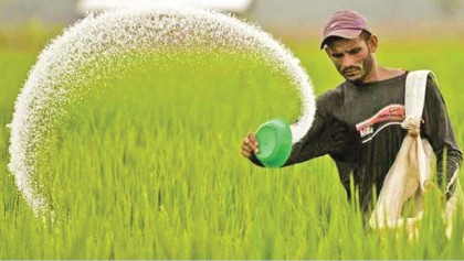 JBIC keen to set up urea fertiliser factory in North