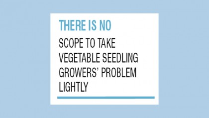 Solve vegetable seedling 
producers’ problem