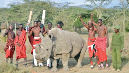 World’s last male northern white rhino, dies aged 45