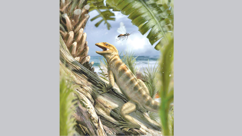 The mother of all lizards found in Italian Alps
