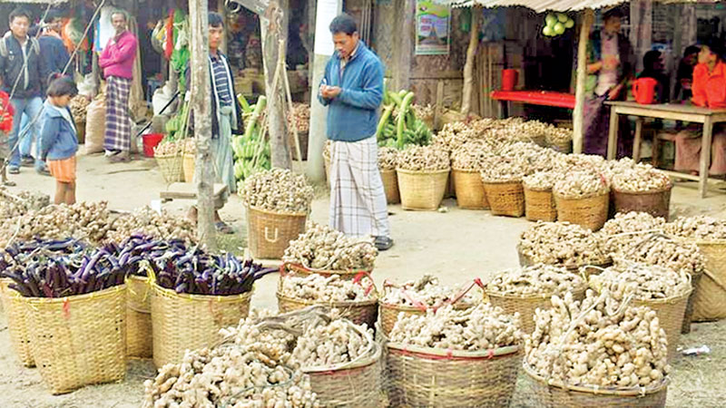 The mounting importance of agribusiness study in Bangladesh