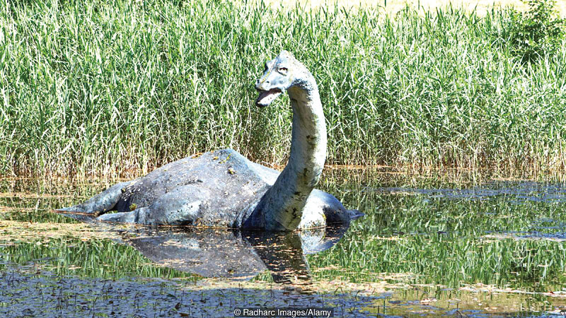 The mythical ‘monsters’ that hide in lakes