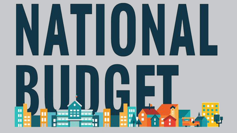 Govt plans 
to borrow 
Tk 738b 