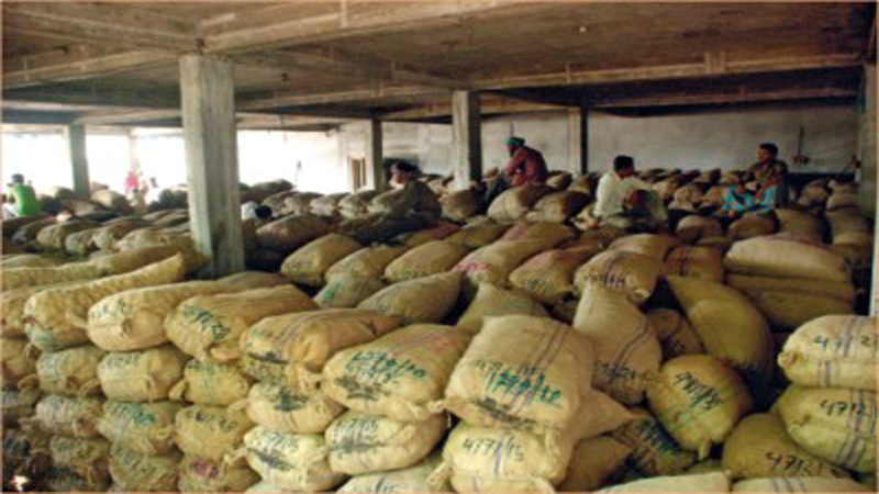 Natural cold storage effective for vegetable preservation