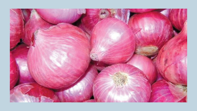 Lax monitoring blamed for onion price hike 