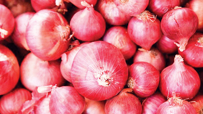 ‘No import of onion from India for now’