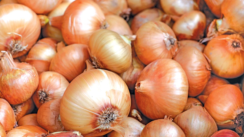 Onion to be imported from Egypt ahead of Eid