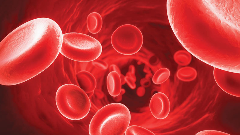 A patient guide to the use of orthopaedic: platelet rich plasma