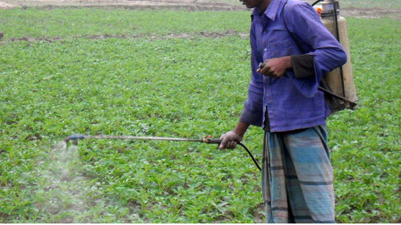 Pesticide use goes down, but hazard remains 