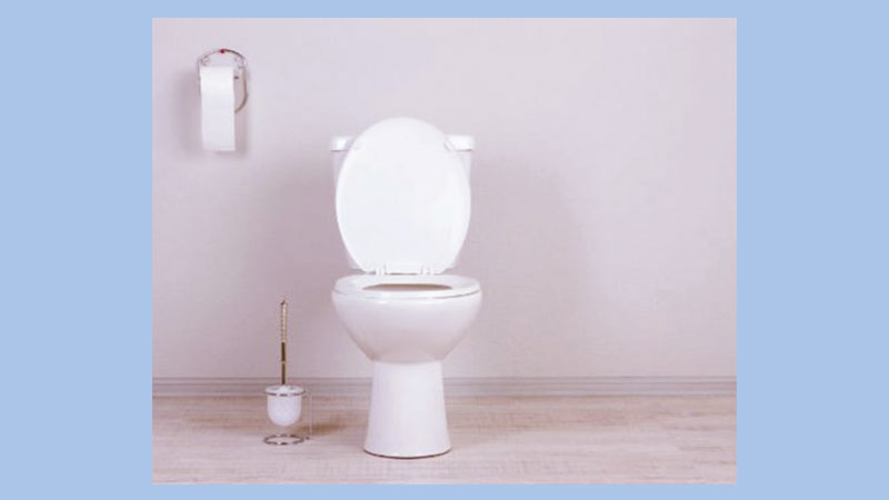 What do the different poop colors and shapes mean?