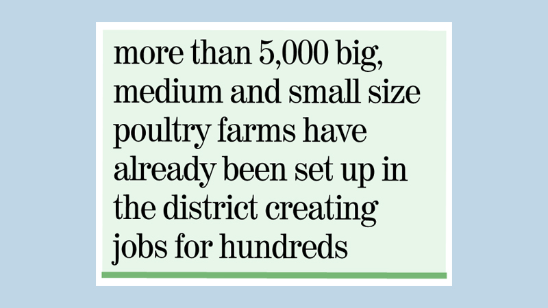 Poultry farms boost rural economy