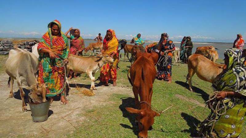 Income-generating activities help lift poverty in char areas