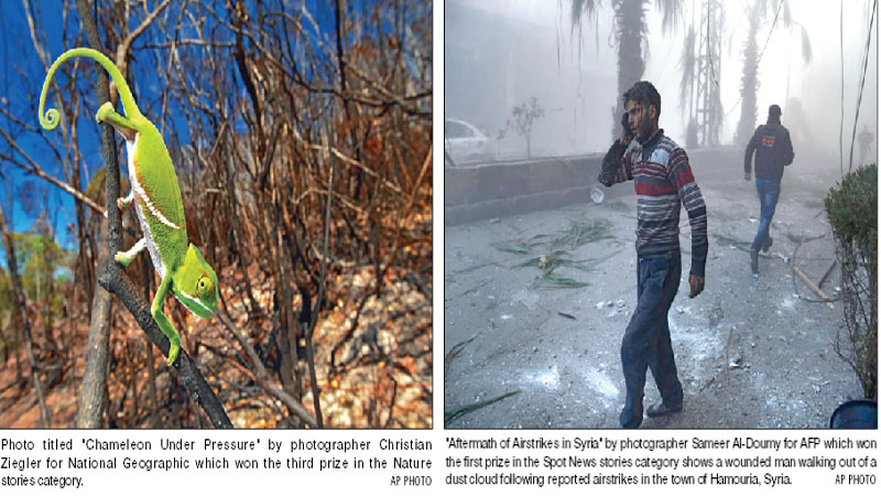 Best press photos from across the world
