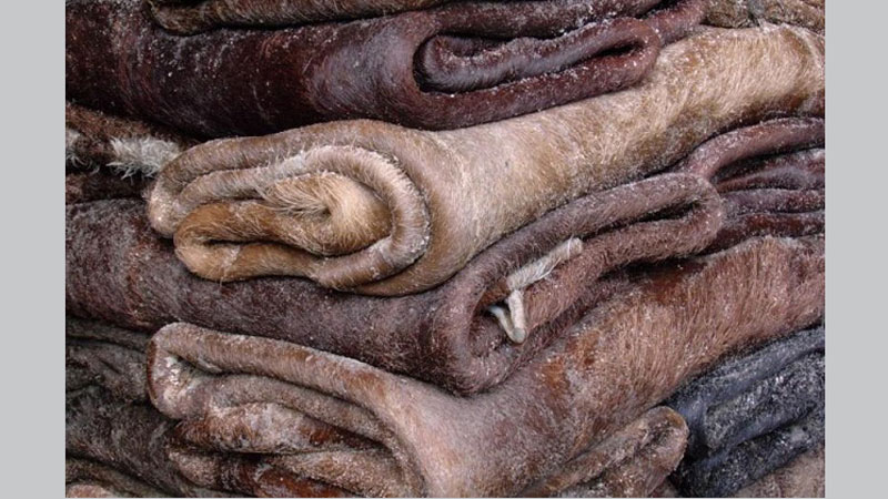 Paucity of rawhides after Eid worries tannery owners
