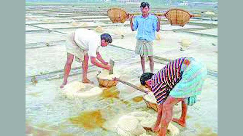 Govt plans to import 5 lakh metric tonnes crude salt 