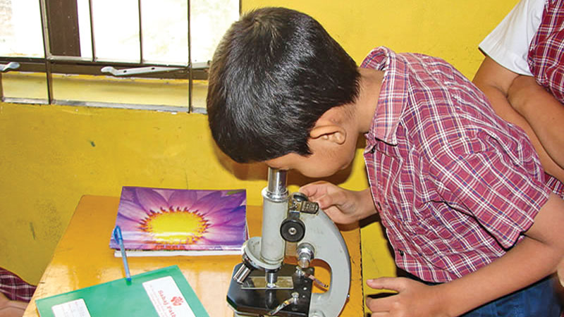 The declining trend of science education