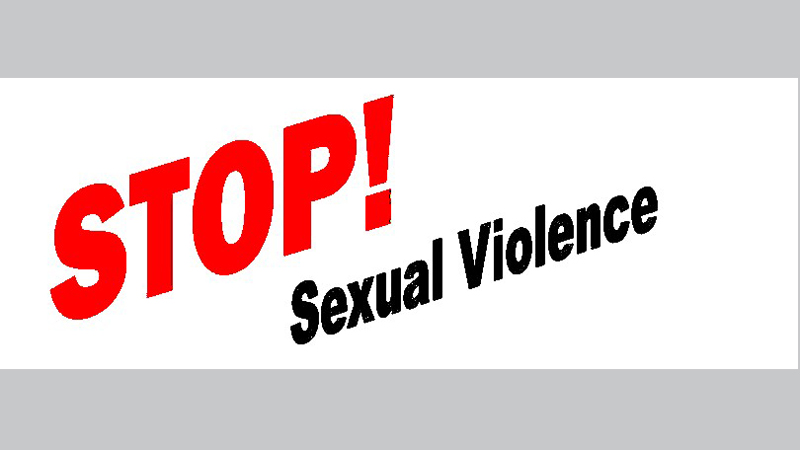Experts suggest strengthening support to stop sexual violence