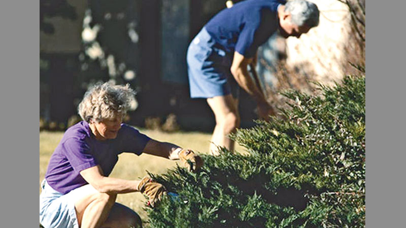 Don't let summer strain your back