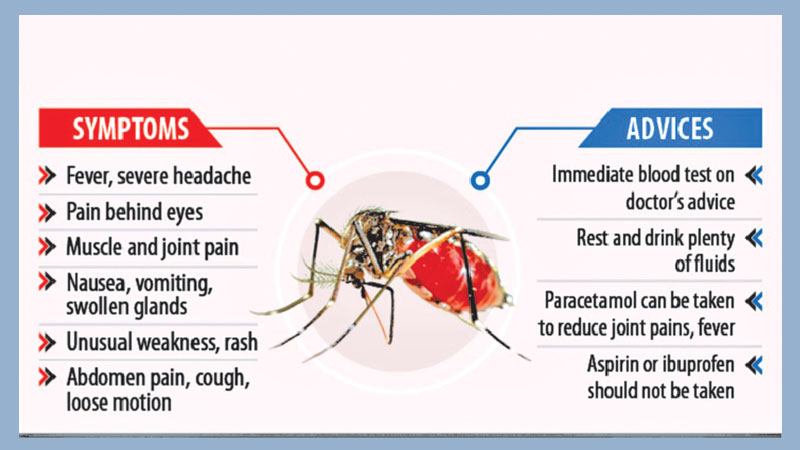 Tech support to tackle dengue 
