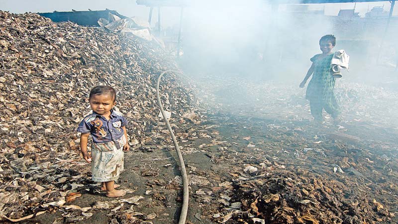 Relocate tanneries in 72hrs or face closure