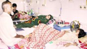 3 die, 1,157 hospitalised in 24 hours